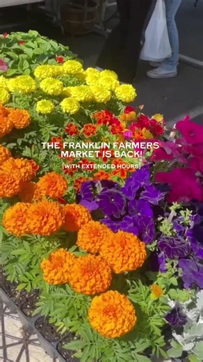 38K views · 329 reactions | Franklin's favorite Saturday morning...