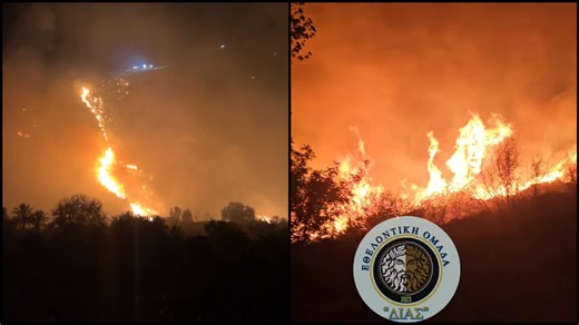 Ολονύχτια μάχη με τις φλόγες στην Πάφο, νέες ρίψεις από τα πτητικά μέσα με το πρώτο φως της μέρας (ΒΙΝΤΕΟ) | AlphaNews
