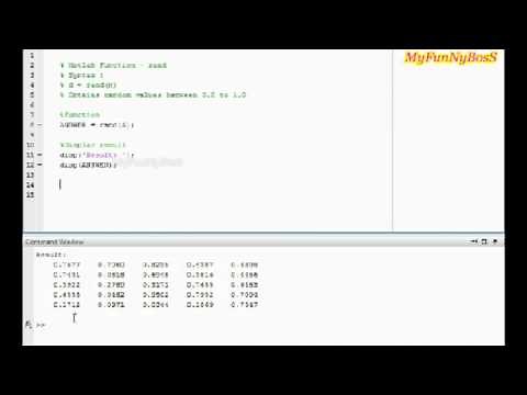 Matlab Function - Random array-rand( )