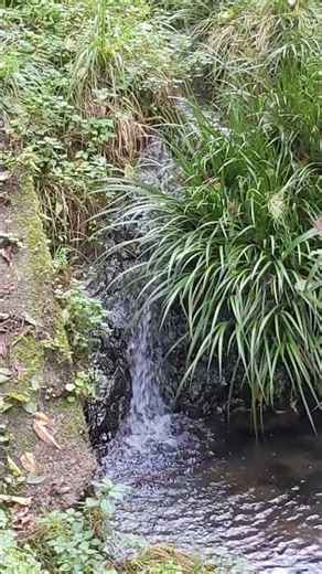 The Stream of Endurance: Sacred ASMR Flowing to Konen Gongen, Musashi-Yokote10