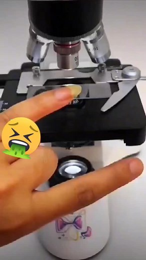 Ana_path على TikTok