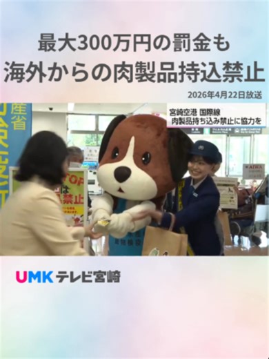 海外からの肉製品持ち込み禁止 最大300万円の罰金も #家畜伝染病 蔓延防止 #アフリカ豚熱 #口蹄疫 #宮崎空港