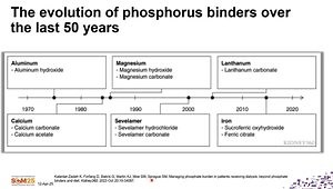 Optimizing Phosphorus Management on Dialysis: Rethinking the Paradigm
