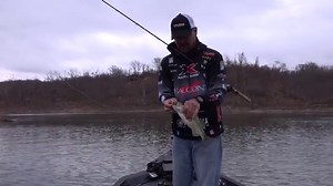 Jason Christie knows a good crankbait when he gets his hands on one! The Norman Speed N Jr is perfect for any shallow cranking situation, just take it from the best in the game. Check them out right here: https://www.lurenet.com/norman-speed-n-jr | lurenet.com