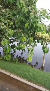 23 reactions | Natural Beauty Shaniii | Natural Beauty | Facebook