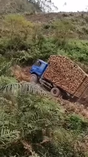 26K views · 112 reactions | This Truck Driver Is Facing Some Problems | Beautiful Life | Facebook