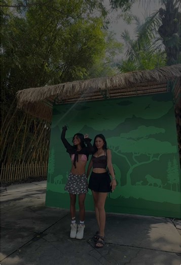 Bali Zoo is one of the best and most complete zoos in Bali, located in Singapadu, Gianyar — about 30 minutes from Ubud or 1 hour from Kuta. This place isn’t just an ordinary zoo, but an educational and interactive destination that offers a unique experience for all ages. At Bali Zoo, you can see more than 500 animal species from Indonesia and around the world, including Sumatran tigers, orangutans, peacocks, elephants, and various reptiles and exotic birds. What makes it special is the chance fo