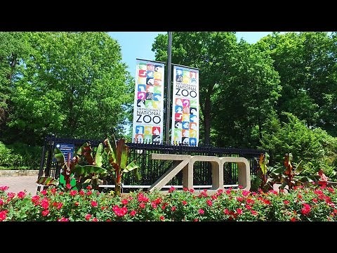 Exploring The Smithsonian National Zoo at Washington DC!
