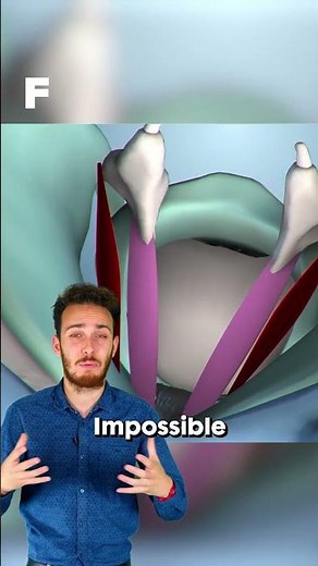 Céline Dion touchée par le syndrome de la personne raide. Explications. 😔❤️‍🩹