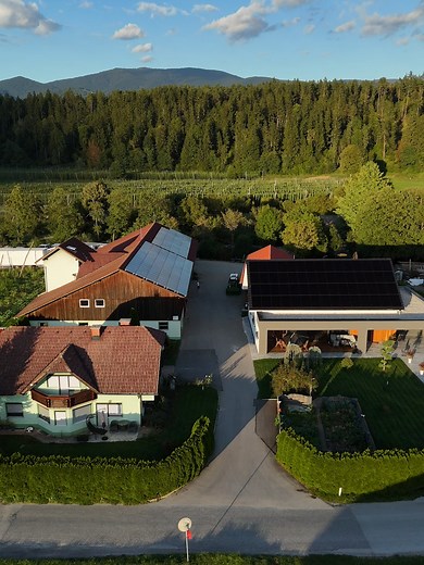 Premium Styrian Hops from Slovenia for Craft Beer