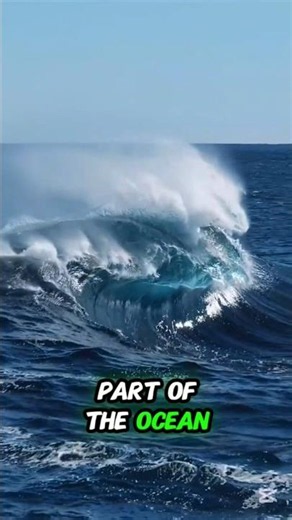 🌊 Why haven't we explored the ocean?