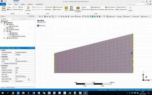 Ansys Meshing 二维网格 入门