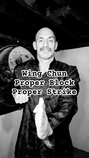 Wing Chun Kung Fu Proper Block and Strike #wingchun #kungfutraining #skills