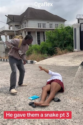 He gave them a snake pt 3 | snakes