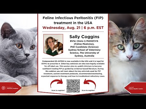 Cornell Feline Health Center: Feline Infectious Peritonitis (FIP) treatment in the USA