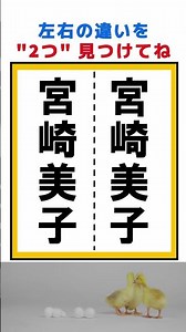 【脳トレ】クイズ女王に挑戦！？宮崎美子さんの名前を使った漢字間違い探し！