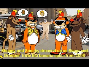 Shaggy and Scooby dressed up as Bingo and Drooper from the banana splits from 2008 (⬇️description⬇️)