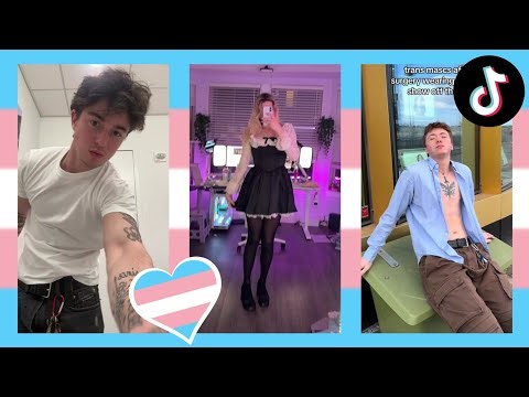 Trans TikToks Compilation #52