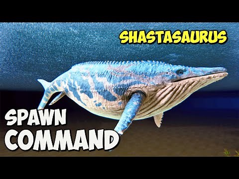 Shastasaurus ARK Survival Ascended Spawn COMMAND | How To Summon Shasta Code ASA