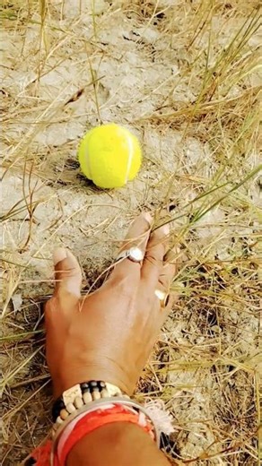 Boing catch frogs funny | froggy catch funny wep wep | funny froggy #shorts​#cute