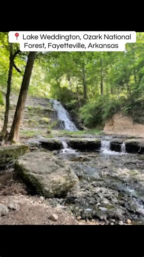 hardwood forest is home to deer, wild turkeys, and in the winter, bald eagles are frequently spotted. Lake Weddington, Fayetteville, Arkansas. Ozark national Forest. #ozarknationalforest #ozarks #fayettevillearkansas #tourguide #naturelover