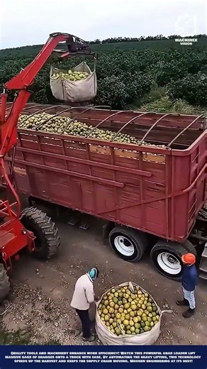 Hydraulic Fruit Lifter Innovation for Transport Truck Loading and Filling