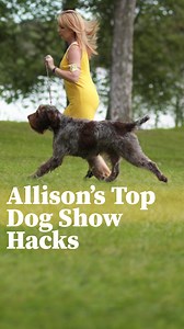 17K views · 196 reactions | 里 Some of Allison's Top "Dog Show Hacks" For Ease, Enjoyment, and Success at Dog Shows Allison has many 'dog show hacks' up her sleeve that help make dog shows more enjoyable! Here's one, and many more in Day 9 of "12 Ways to Excel as an Owner-Handler". Follow us on the path to improving and excelling in the dog show world here bit.ly/12ways-2024 | Leading Edge Dog Show Academy | Facebook
