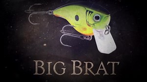 2.3K views · 46 reactions | The all new BX® Big Brat! | Rapala | Facebook