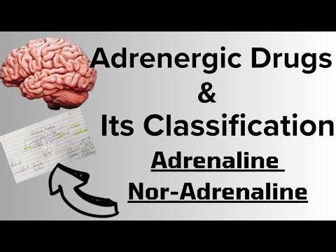 Adrenergic Drugs: Classification & Pharmacology of Adrenaline and Noradrenaline