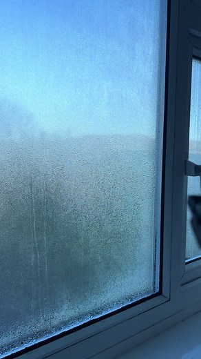 Super low price here! 👇#fyp #tiktokmademebuyit