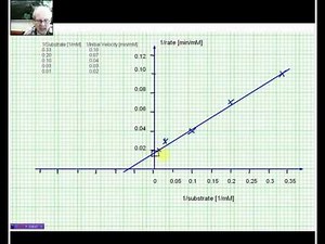 Lineweaver Burk plot data analysis YouTube
