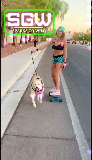 Feeling Good Longboard Challenge with Blue Heeler and Husky
