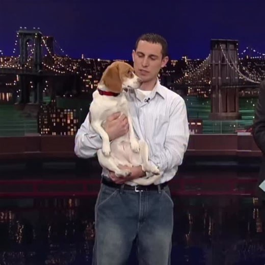 Gabriel Stüve on Instagram: "A funny illustration of reinforcement-based learning appears in this clip of a dog performing on The Late Show with David Letterman (CBS, USA, 2009). The dog’s owner cues the animal to “play dead,” and the dog immediately goes limp on stage, delighting the host and audience. This brief moment illustrates operant conditioning, where behavior is shaped by consistent consequences — in this case, the dog has learned that following the command reliably results in rewards.