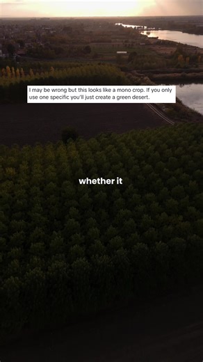 The monoculture debate often misses the bigger picture. Modern forestry is not the same as unmanaged natural forest — and it is not meant to be. Controlled timber plantations are planned, monitored and limited to designated land. Their purpose is to produce wood in a predictable and structured way. At the same time, global demand for timber continues to increase, while natural forests must be protected. If we want to reduce pressure on natural ecosystems, we need additional, responsibly managed 