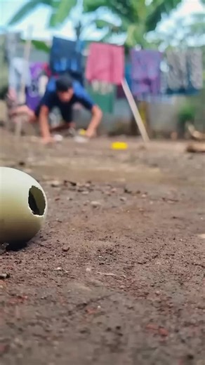 Animals Crawling Into Eggs: A Funny ASMR Experience