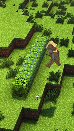 The Unbreakable Minecraft House Trick