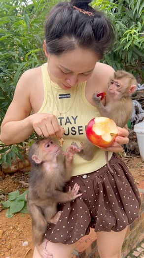 Hearing his mother call, the little monkey immediately ran over.#monkey