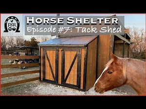Building a Horse Shelter - Episode #7: Tack Shed Part 1