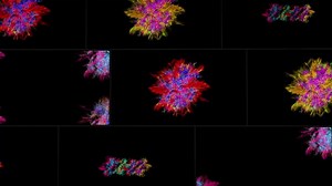 Holi Colorful Explosions Pack