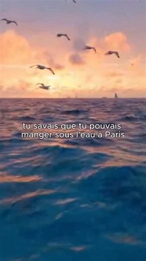 Le restaurant le plus incroyable de France à réouvert ! 😌😉 #food #paris #restaurantimmersif #ia #immersion | Ephemeragroup