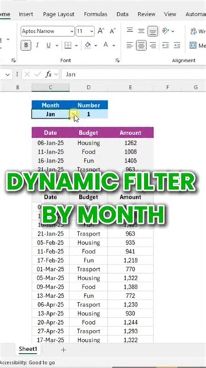 MS Excel - Funclub | Abdul on Instagram: "How to Filter Data by Month Automatically 🗓️ #excel #exceltips #filterfunction"