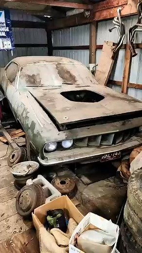 1971 Cuda 340 barn find! #autoarchaeology #cuda #barnfind | Catrina Patty