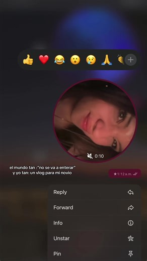 My Love Language: A Vlog for My Boyfriend