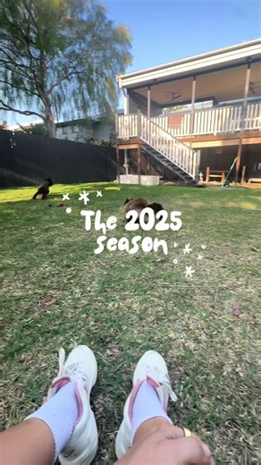 Celebrating Our First Year with Barley Boo the Mini Schnauzer