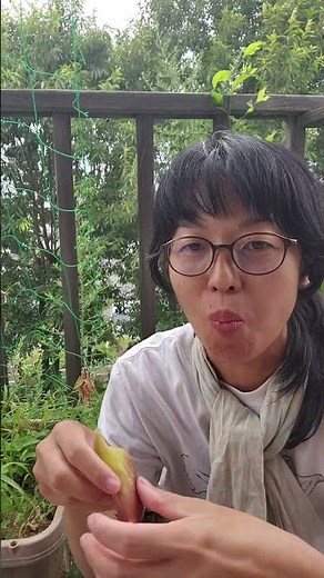 いちじくの食べ方