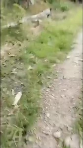 33K views · 694 reactions | MYANMAR DA ATHOUBASINGNA AKANBA MA ONGDA KHUT THOKNARABA MATUNGDA KNA-B & PDF Gi CAMPS SING LOUSINKHRE | Kanglei Mapao Infotainment | Facebook