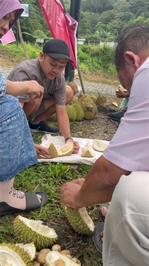Makan durian guys #shorts #shortsviral #shortsvideo