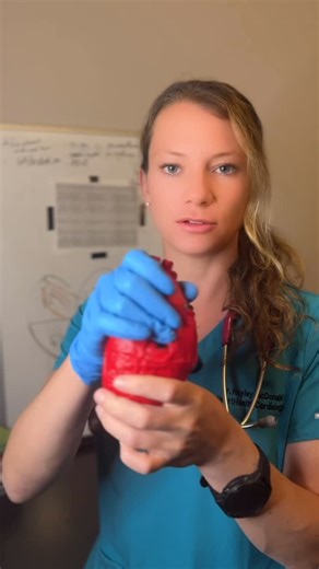 Dr. Hayley McDonald | Specialist Veterinary Cardiologist on Instagram: "What happens when the atria and ventricles stop talking? 🫣 ➡️ First-degree AV block: conduction through the AV node is delayed —> prolongation of the PR interval ➡️ Second-degree AV block: Intermittent blockage of conduction through the AV node —> intermittent P with no QRS-T ➡️ Third-degree AV block (complete heart block): All conduction through the AV node is blocked —> there is no association between P waves and QRS-T co