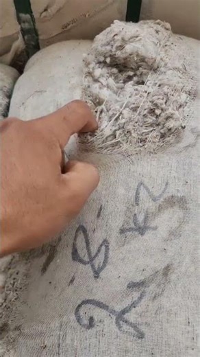 St3 kolsa bor yaxshi holatda yazyavonda 907877987