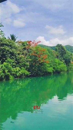 Loboc River Cruise, Loboc, Bohol #ecotourismjourney #lobocrivercruise #boholtravel #tagbilarancity